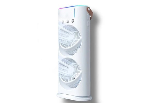 Double blower mist fan